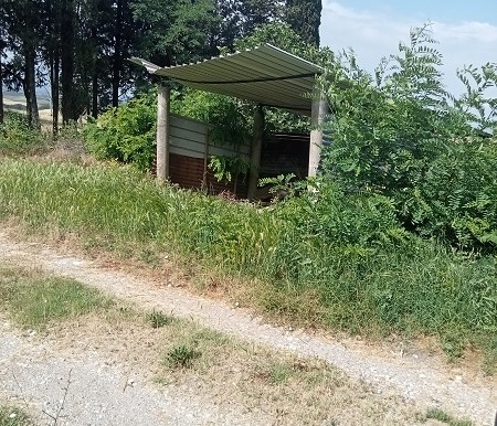 img20220609095007