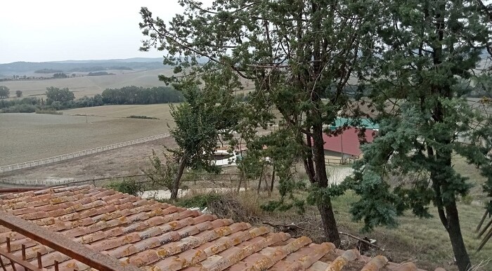 img-20230918-wa0004